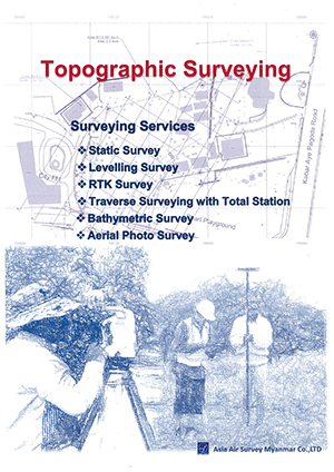 Item-survey